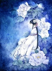 花宫弃少