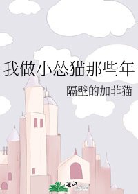 我做小慫貓那些年
