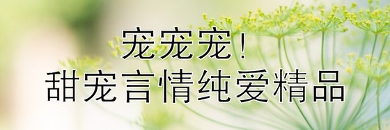 宠宠宠！甜宠言情纯爱精品
